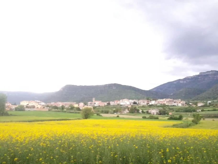 El Niuet De Cal Cacuet, La Teva Escapada Rural. Apartment Aviá Exterior foto
